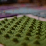 DSC_0562