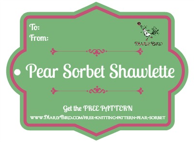 gift tag for 1 Skein Project and Free Knitting Pattern: Pear Sorbet by MarlyBird.com