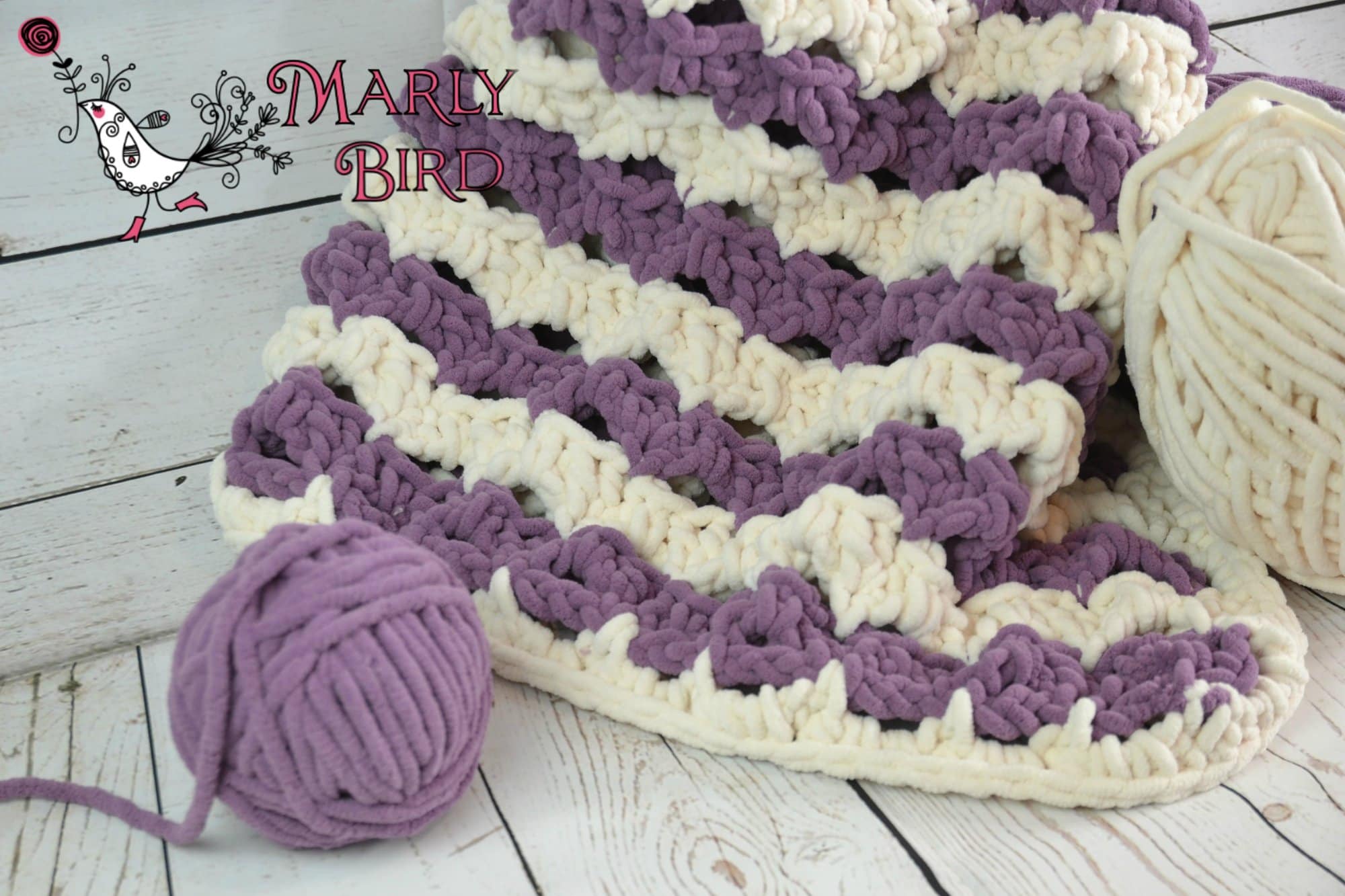 Crochet Beginner Shells Blanket Marly Bird